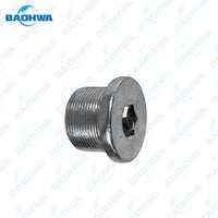 JF011E Case Plug