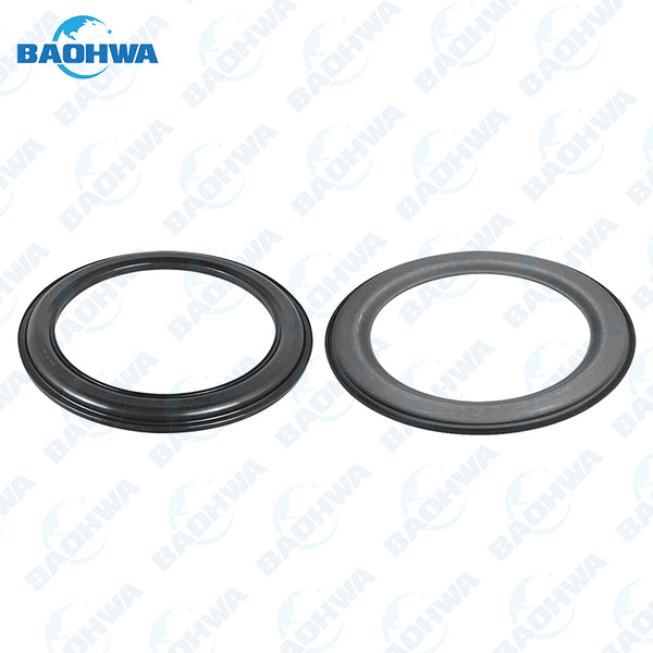 ZF4HP20 Piston Kit