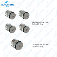 AW55-50SN AW55-51SN O-Ringed End Plug Kit