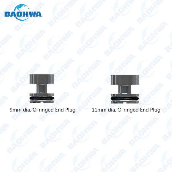 AW55-50SN O-Ringed End Plug Kit