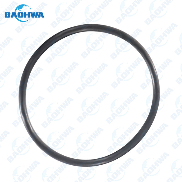 0B5 DL501 Filter Cartridge Rubber Ring